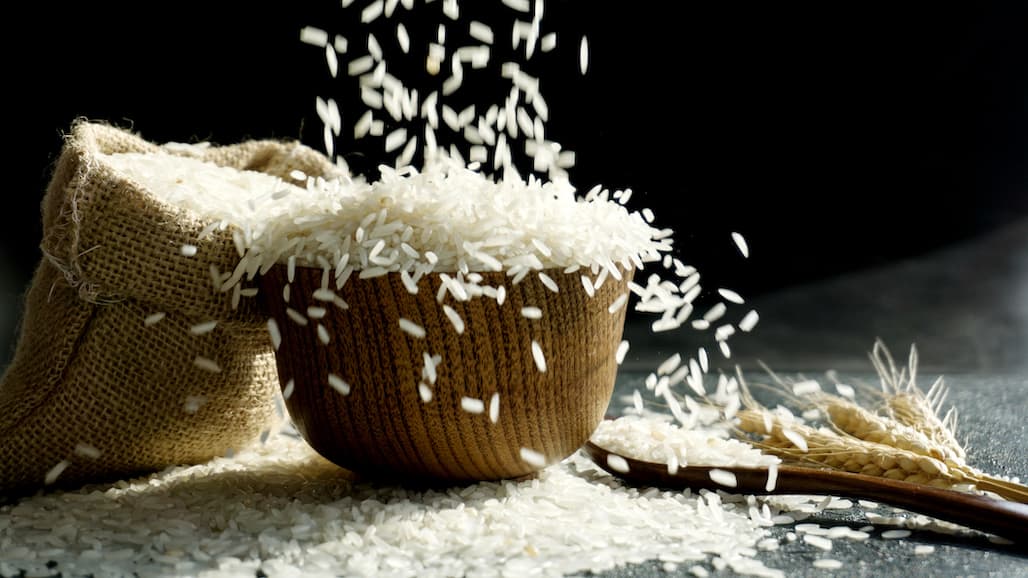 Genetic Insights Help Rice Survive Drought and Flood