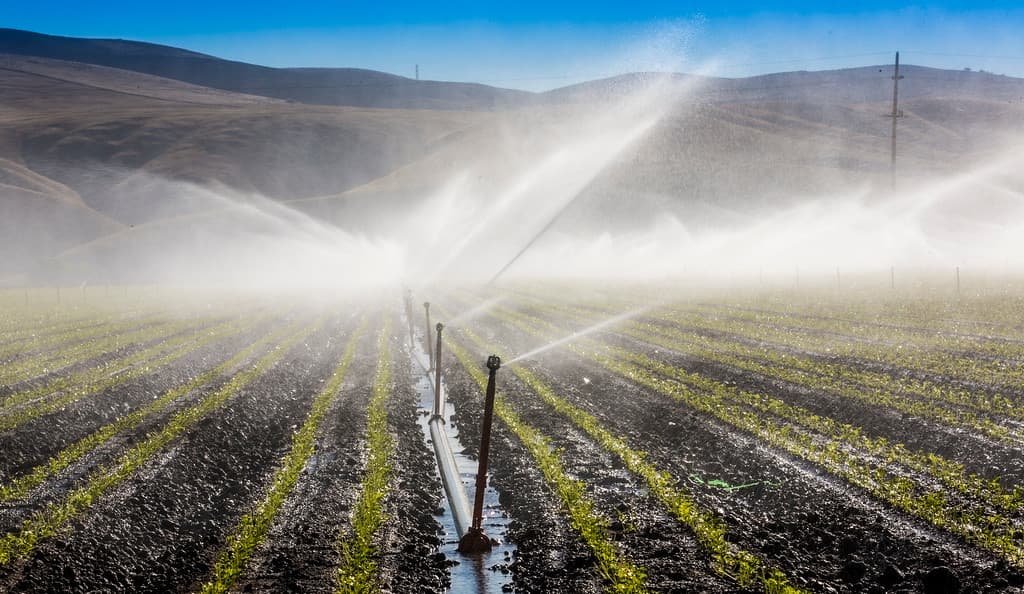 Impacts of Water Restrictions on Agriculture Production Cannot Be Understated