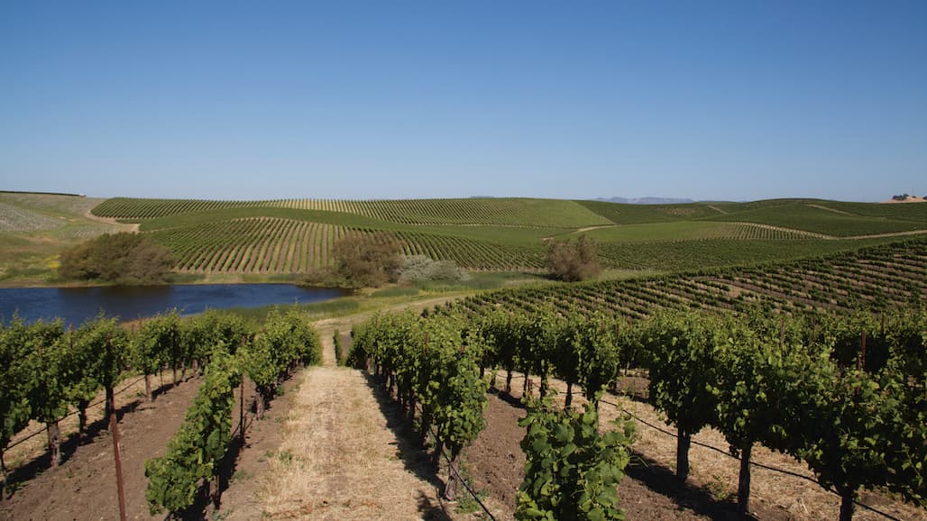 USDA to Invest $5 Million in the Wetland Mitigation Banking Program