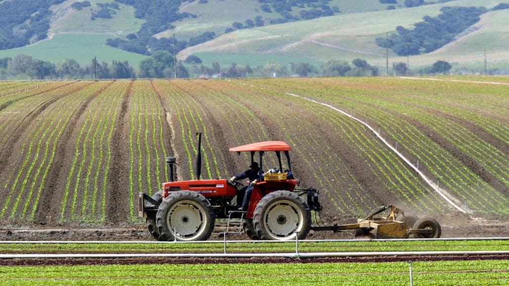 Grower-Shippers Asked to Bear Burden of Unsustainable Dilemma of Under-Compensation