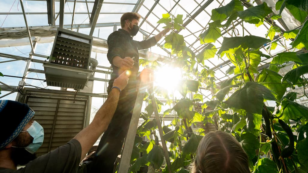 Resnicks Pledge $50M to UC Davis for Sustainability Research