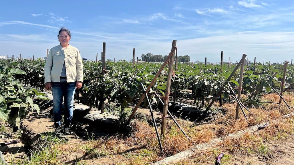 Fresno-Area Women in Ag to Receive Support, Learning Circle & Resource Fair Nov. 2