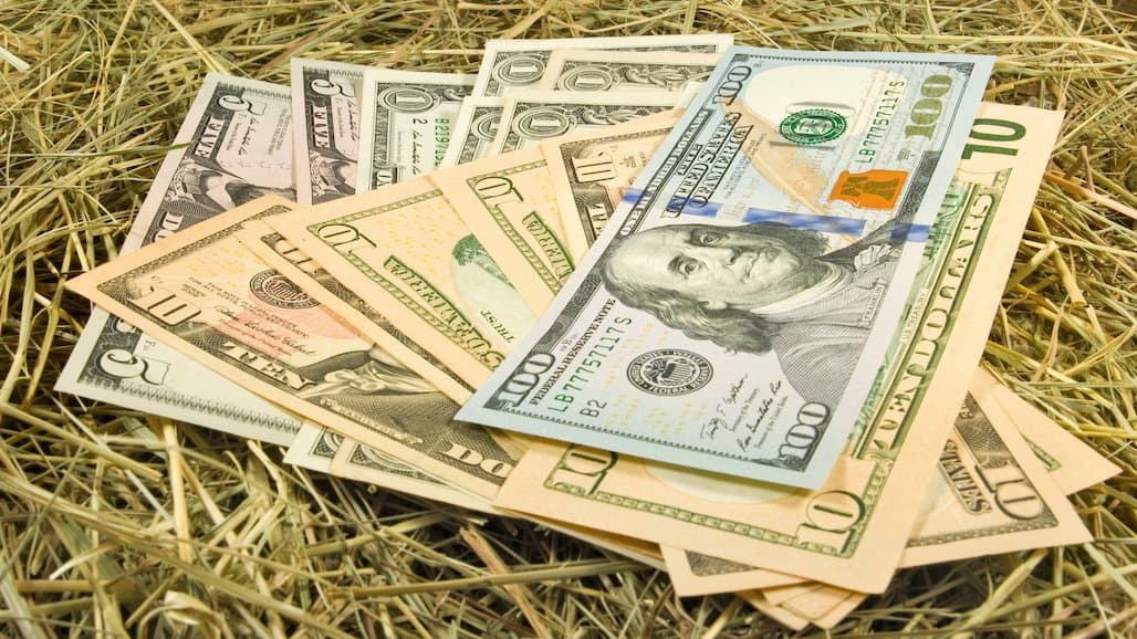 Claim Your Cash Reward for Employing Through COVID-19 Mandates