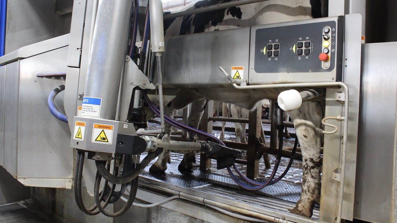 Study Shows Increased Production from Dairies Converting to Robotic Milking Systems
