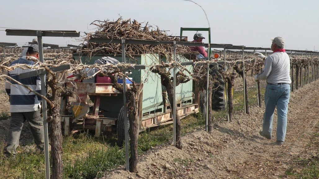 Farmworkers at Risk for Obesity, High Blood Pressure