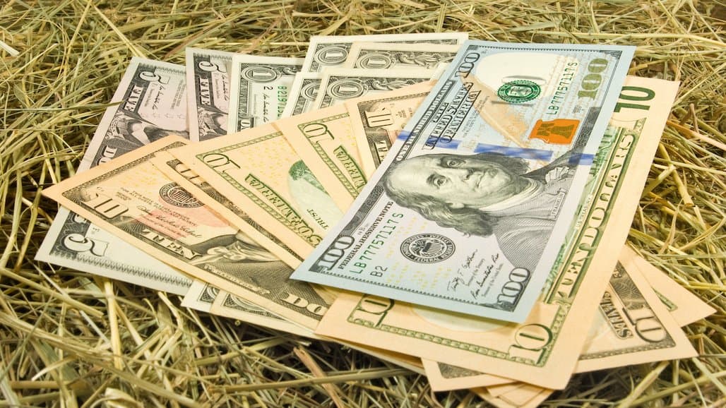 USDA to Gather Cash Rents Data for Cropland & Pasture