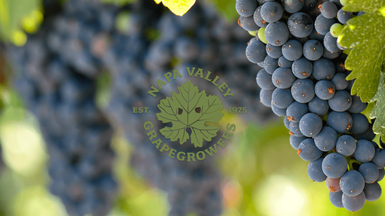 Napa Valley Grapegrowers Recognized As 1% For The Planet Environmental Partner