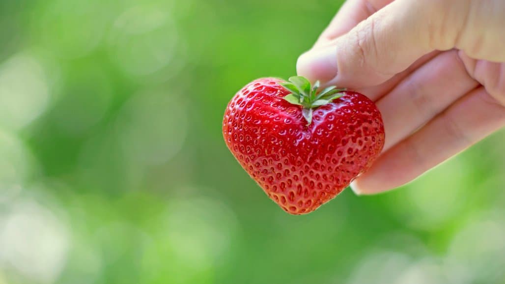 Strawberry Consumption Linked with Heart Health, Cardiometabolic  Benefits