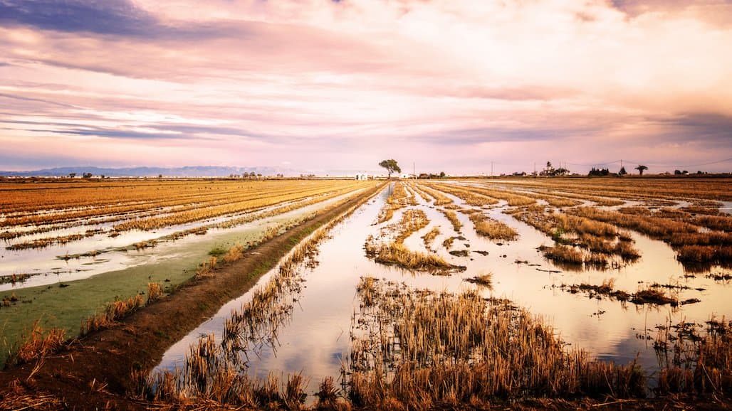 Emergency Conservation Program Applications Now Being Accepted in CA