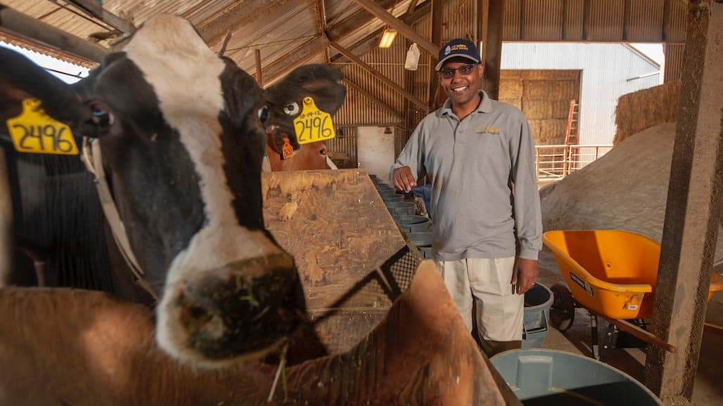 UC Davis Leads World Rankings with Veterinary Science, Ag