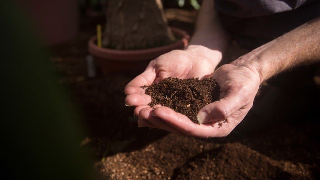 Case Studies Provide Operational, Profitability Insights into Regenerative Ag