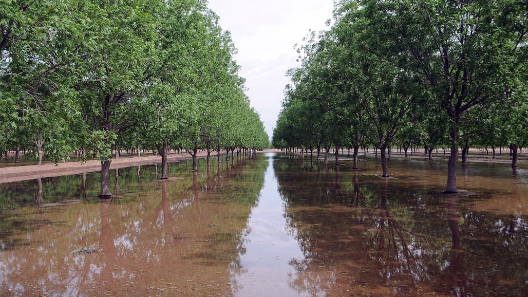 The Grower Experience with Groundwater Recharge Workshop, April 12