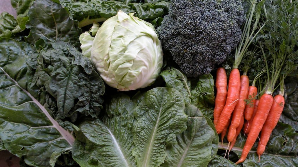 Organic Food Sales Break Through $60 billion in 2022