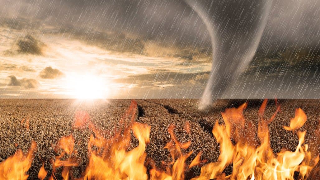 USDA Invites Input on Crop Insurance Coverage for Prevented Planting