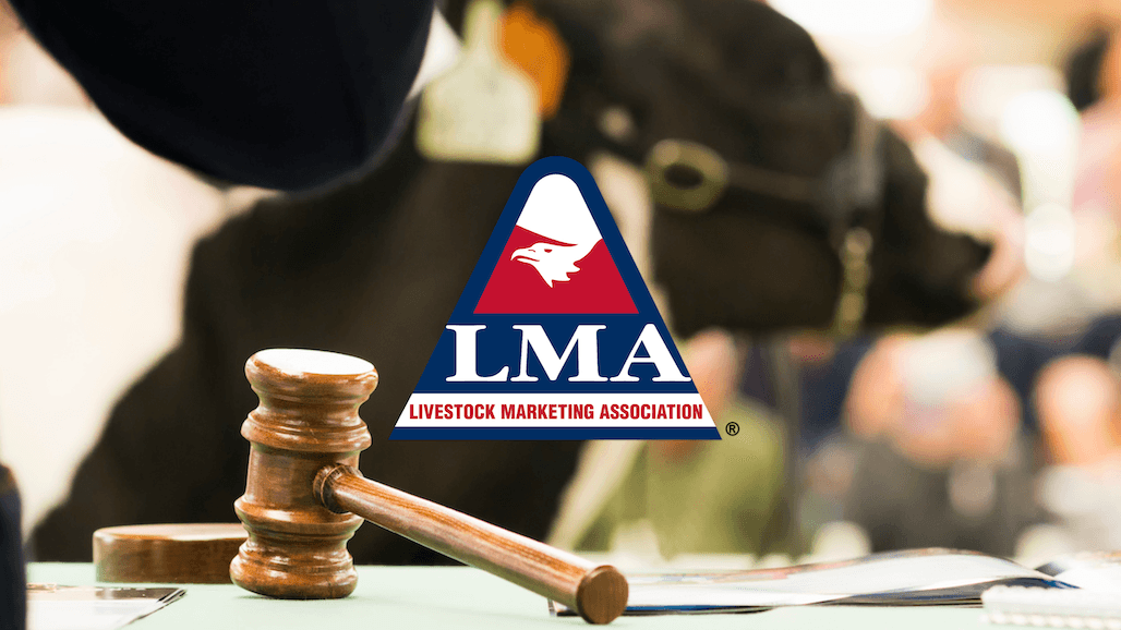 LMA BlockTrust Network Pilot Project Sales Kicks off in California June 17