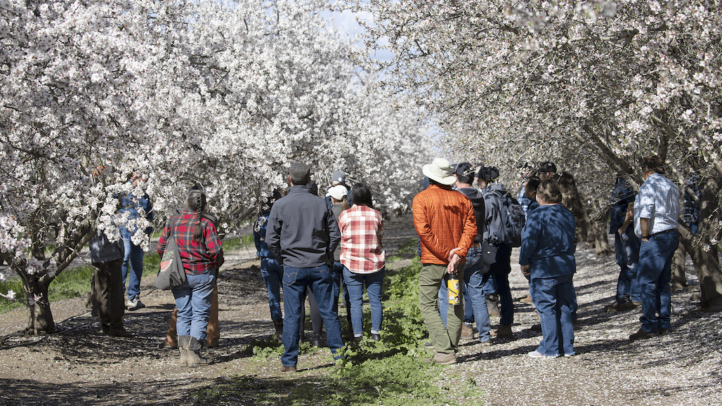 UC Awards Brodt $2M to Advance Soil Health, Climate-Smart Farming Practices