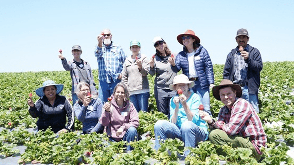 Organic Industry Experiences Benefits of   TOPP Firsthand
