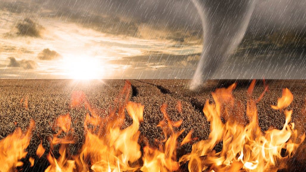 Over 70% of Farmers Report Large Impacts of Climate Change on their Farm, Global Study Reveals