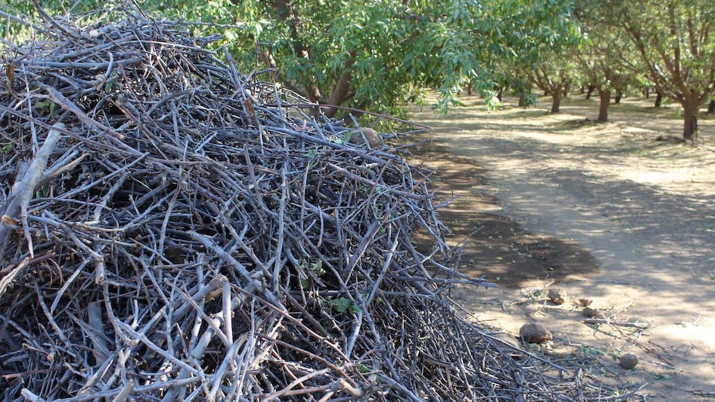 The Good and Bad Uses of Biomass for California