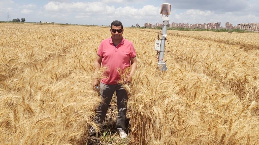 From Sharqia to Rome to Fresno: Renowned Irrigation Expert Comes to UC ANR