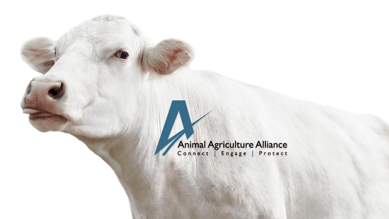 Animal Agriculture Alliance’s 2024 Stakeholders Summit: Ready, Set, Solve!