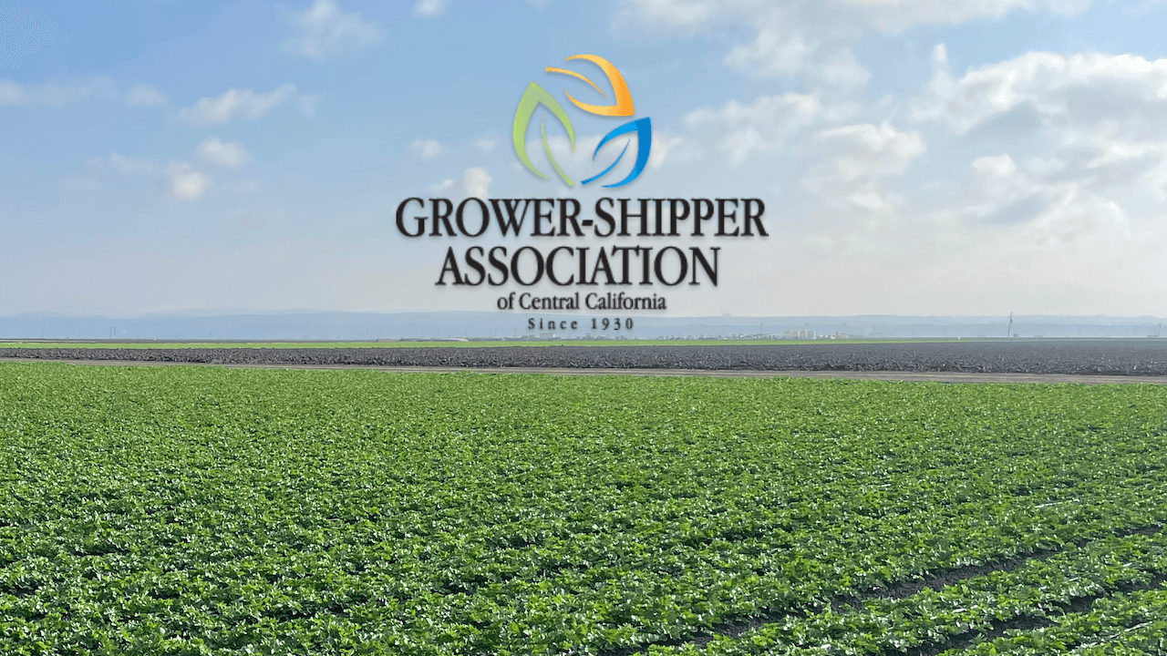 Grower-Shipper Association Appoints 2024 Board Members