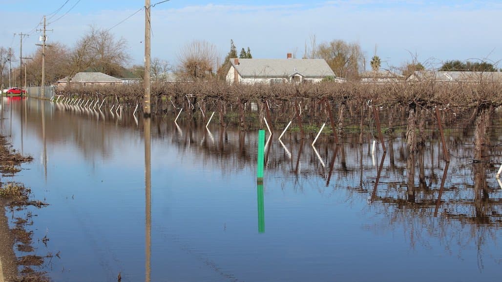 Disaster Assistance for California Farmers Impacted by Recent Flooding