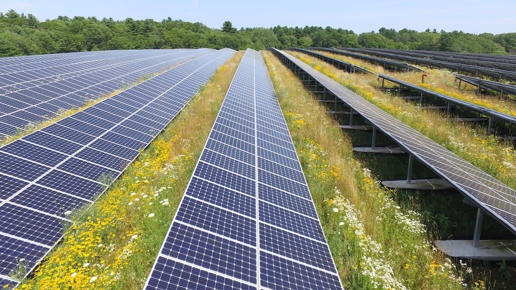 Hands-On Support to Help Ag Producers Applying for Renewable Energy Funding