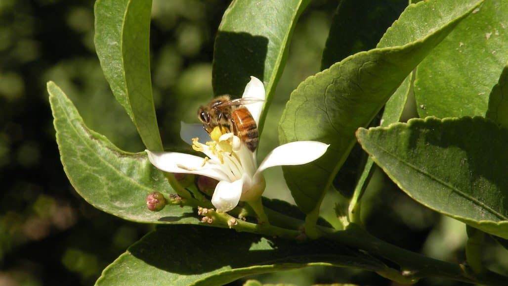 Growing Matters’ BeSure! Campaign Promotes Best-Stewardship Practices Ahead of 2024 Planting Season