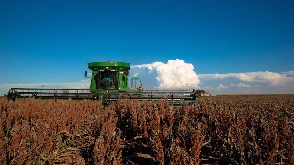 National Sorghum Producers 2024 Yield Contest Open for Entry
