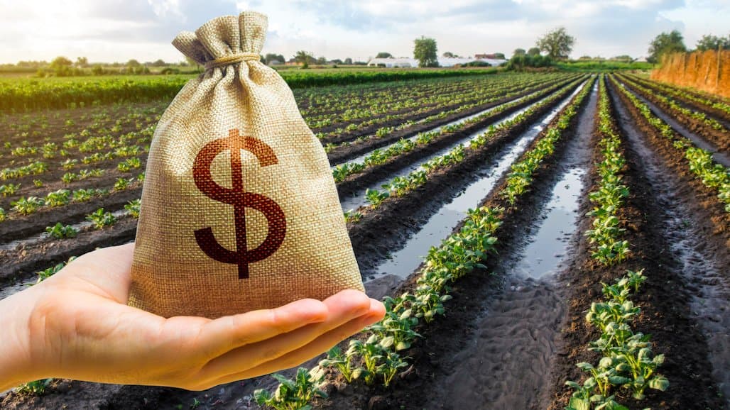 Organic Trade Association, The Organic Center Awarded $4.4 Million Market Development Grant
