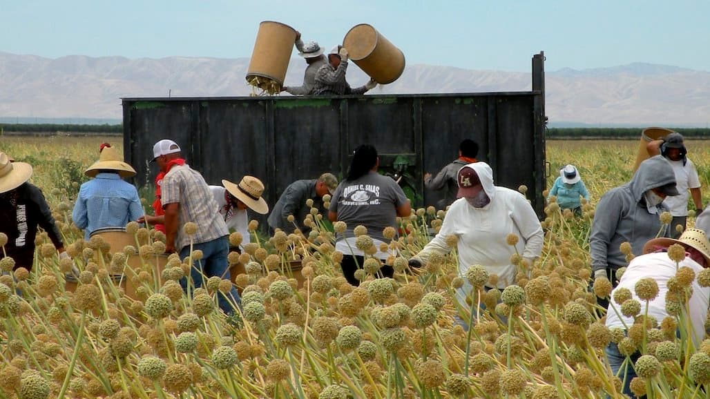 Department of Labor Announces $6.5M in Available Grants to Provide Housing Services for Farmworkers, Dependents