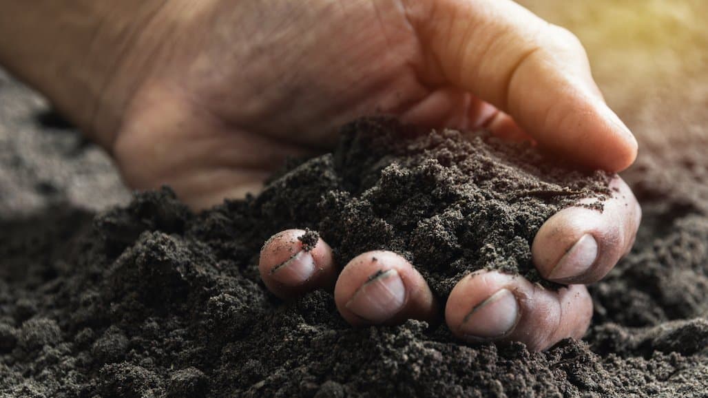 Climate-Smart Ag & Food System Investments Secured in Climate Bond