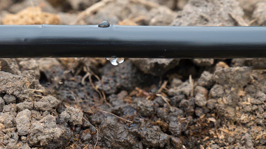 Expanding Innovative Domestic Fertilizer Production
