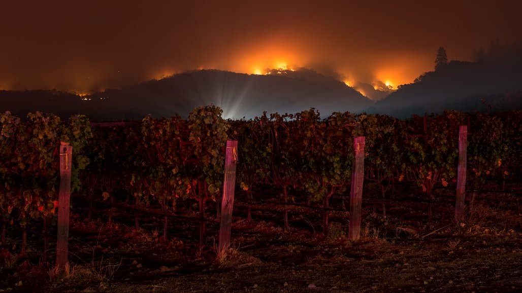 New Fire Insurance Protection-Smoke Index (FIP-SI) Crop Insurance Endorsement for California Grape Growers