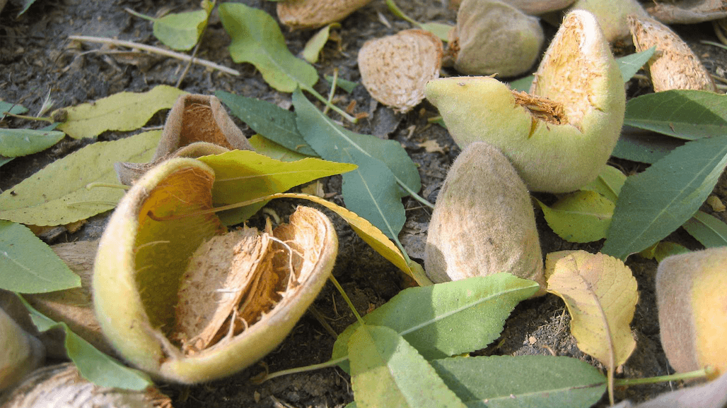 New Project Aims to Use Farm Waste to Fuel Bioeconomy
