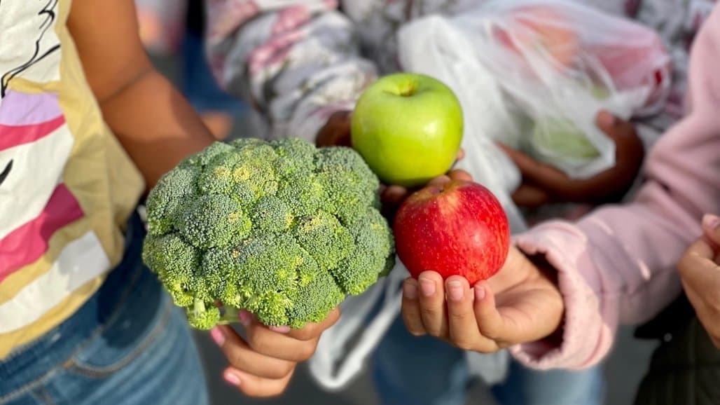 Investments in Farm-to-School Program Stabilize Farms