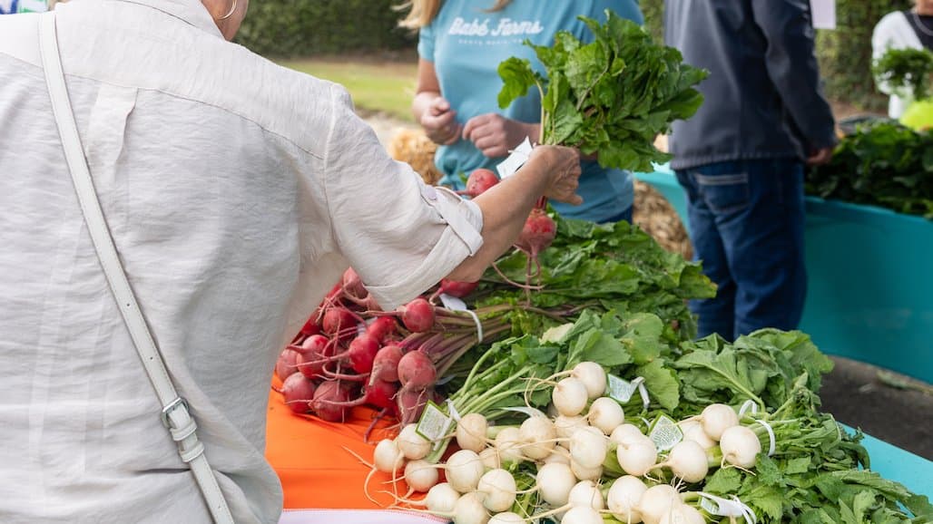 Annual Santa Barbara County Farm Day Attracts Over 6,500 Attendees