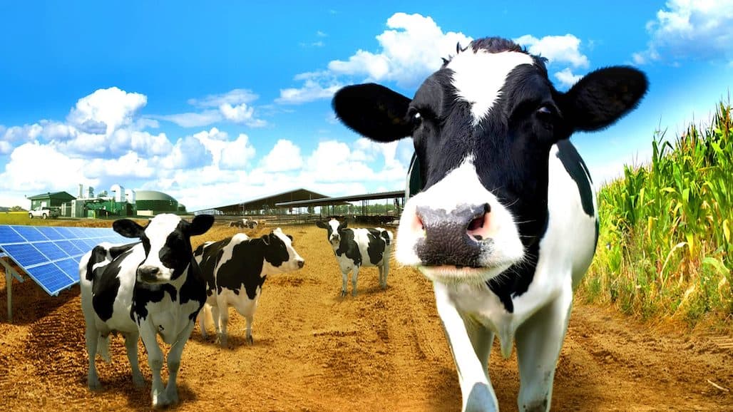 California Dairy Sustainability Summit Heading to Visalia March 2025