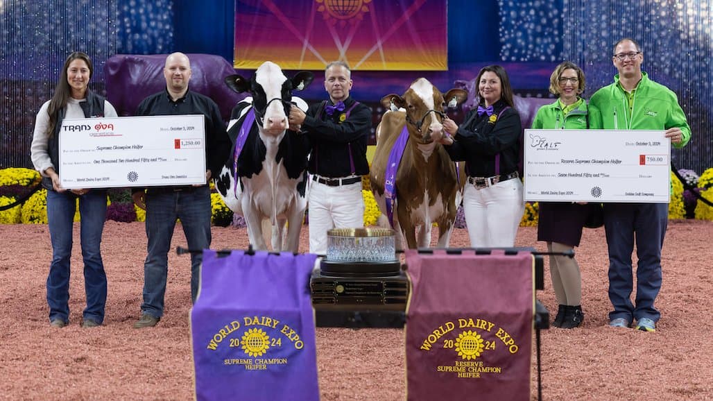 Vierra Dairy Farms’ Bailey Named Supreme Champion of World Dairy Expo
