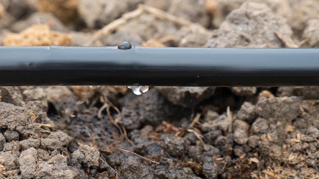 Will Microplastics Endanger the Food Stream?