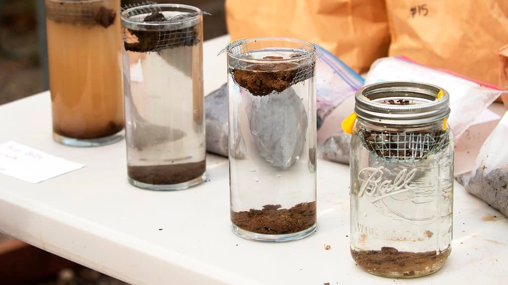 Preparing Soil for Winter can Protect Soil Health