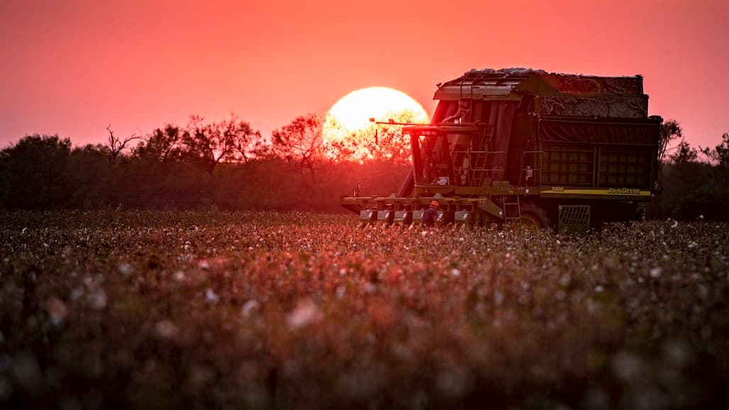 USDA Announces Cotton Board Appointments Including California’s Martin Schatz