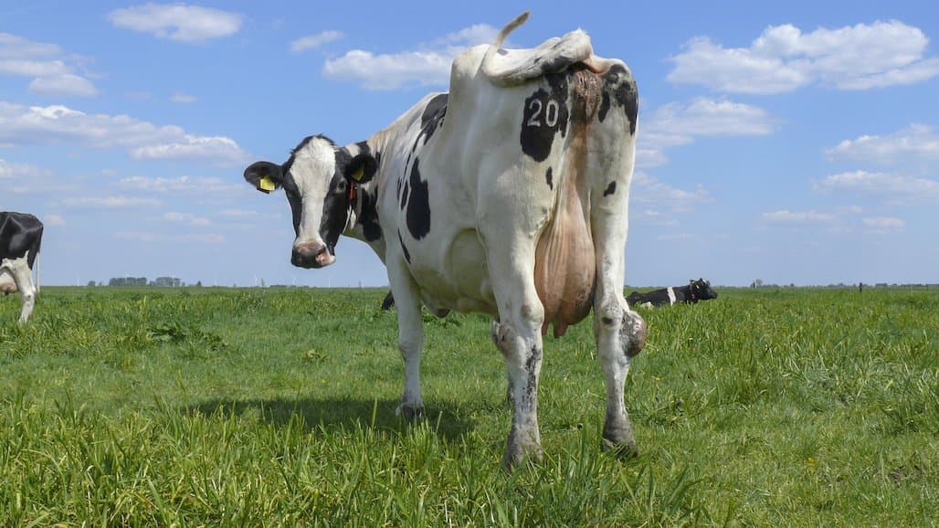 Recycling Human & Animal Excreta Could Help Meet Nutrient Supply for Global Crops