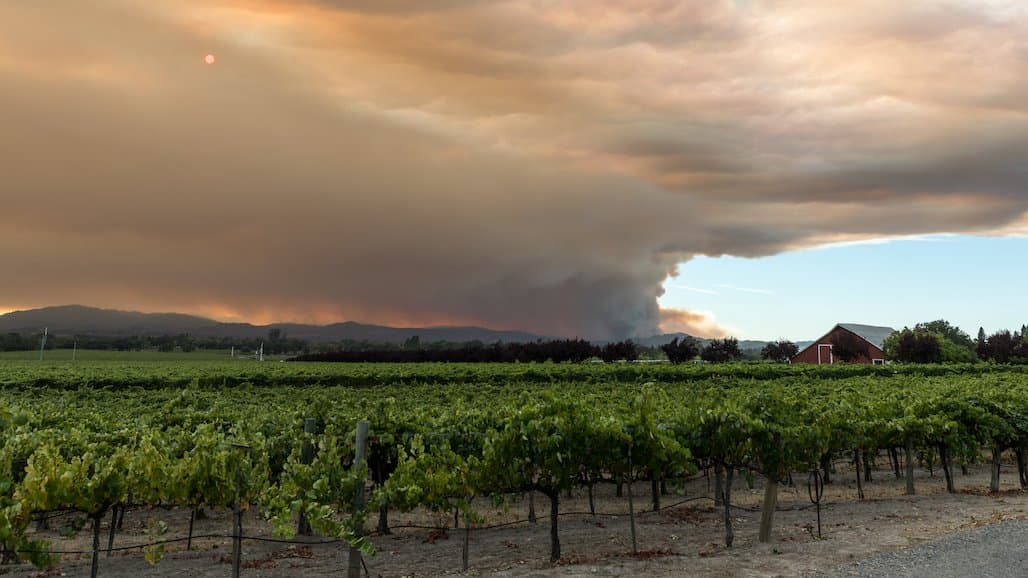 Ag Workers Reduce Hours or Move Locations to Avoid Wildfire Smoke