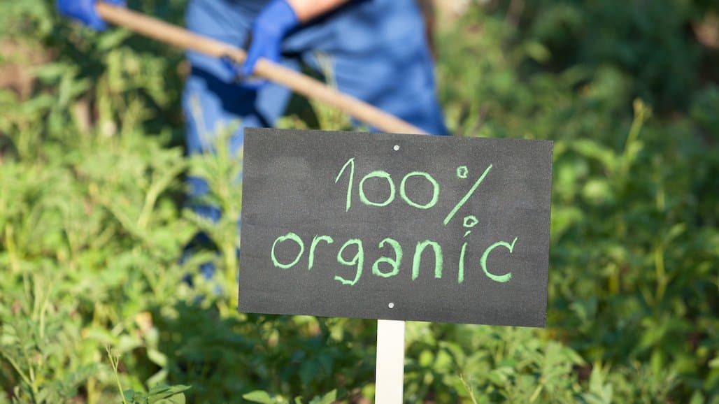 Amanda Felder of Taylor Farms Among New Appointees to National Organic Standards Board