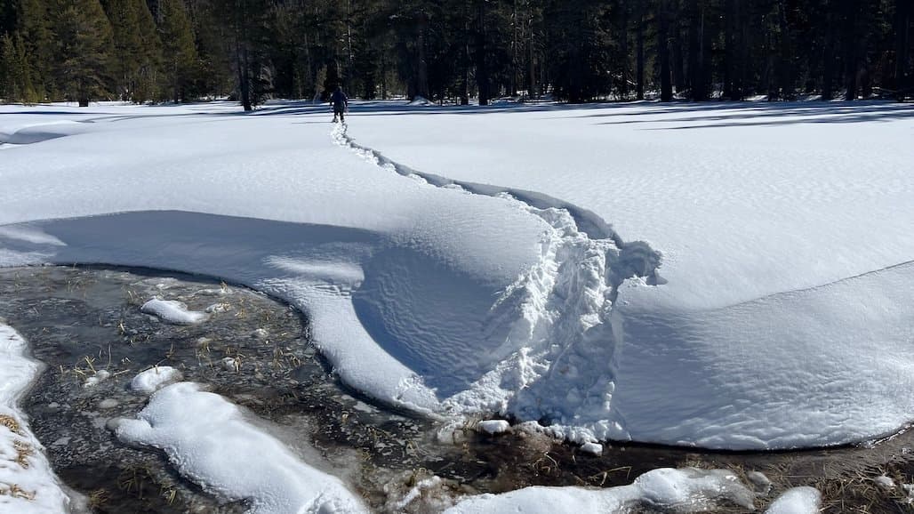 Kings Watershed Snowpack Starts Season Well Below Average