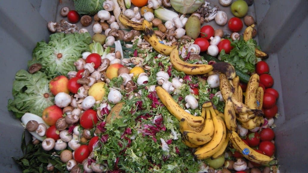 States Struggle to Curb Food Waste Despite Policies