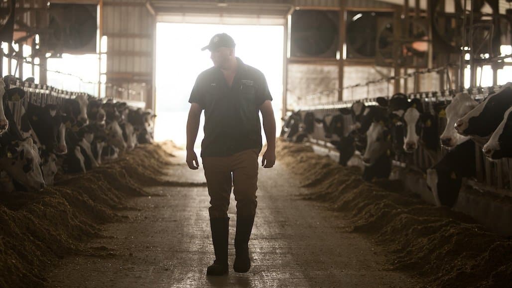 CDFA No Longer Recommending Suspension of Routine Inspections on Non-Quarantined Farms