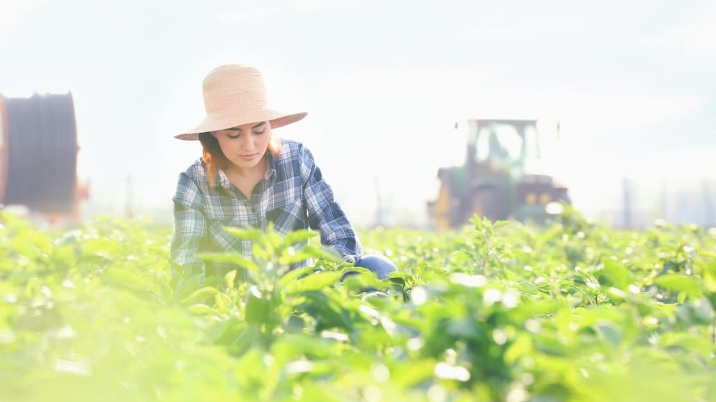 New Study Reveals Percentage of Women Farmers in California vs U.S.
